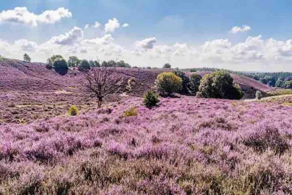 Chalet Toetje Op De Veluwe Hoenderloo Bagian luar foto